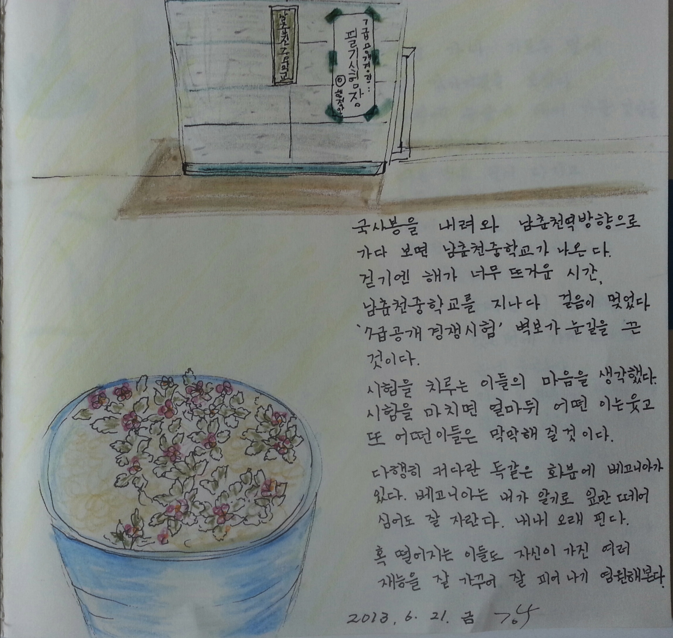 대풍이네 이미지